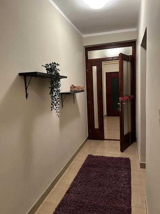 Jordan Apartman Apartment Niska Banja Bagian luar foto