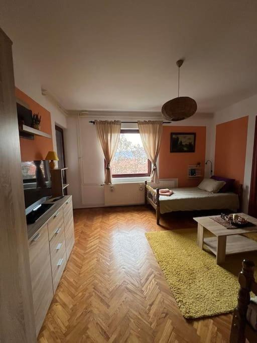 Jordan Apartman Apartment Niska Banja Bagian luar foto